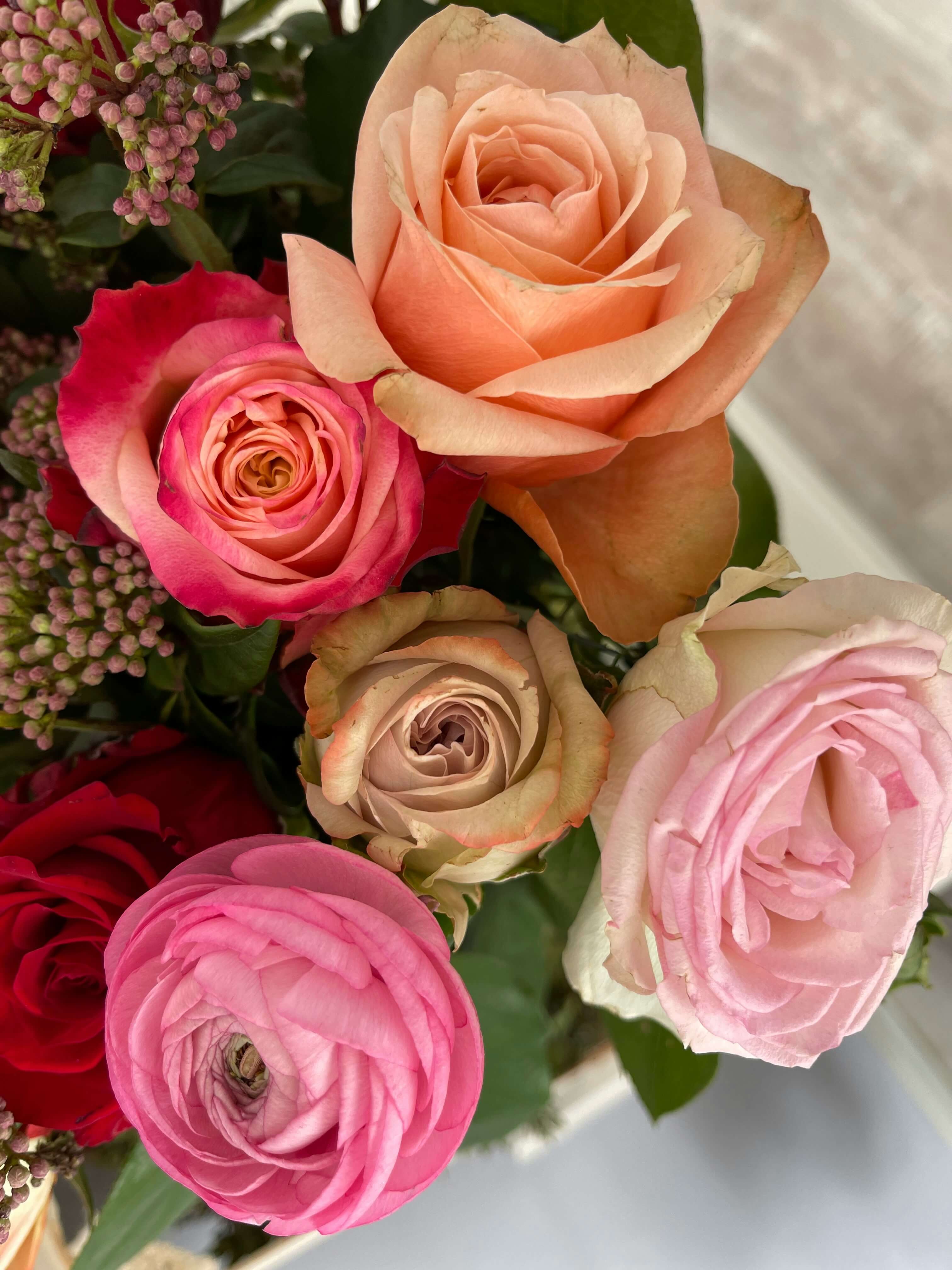Ranunculus Flower